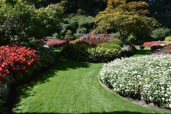 Conseils de paysagiste pour un jardin unique et charmant