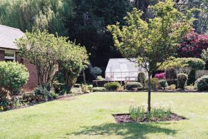 Plantes variées pour un jardin riche en couleurs.
